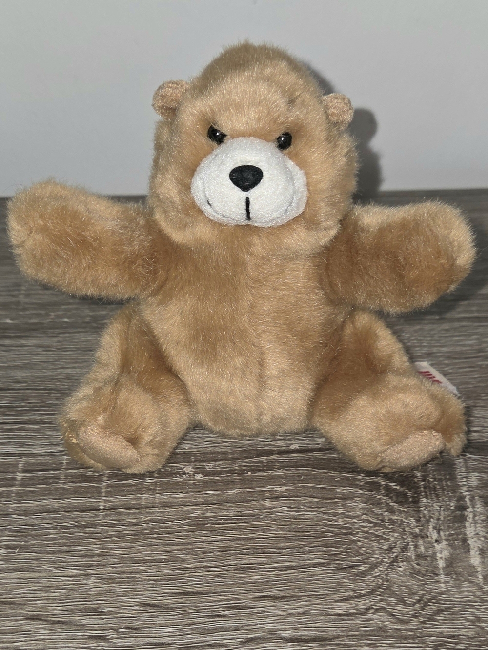Charmin Plush 2005 Little Teddy Bear Bill 5.5" PLEASE READ.
